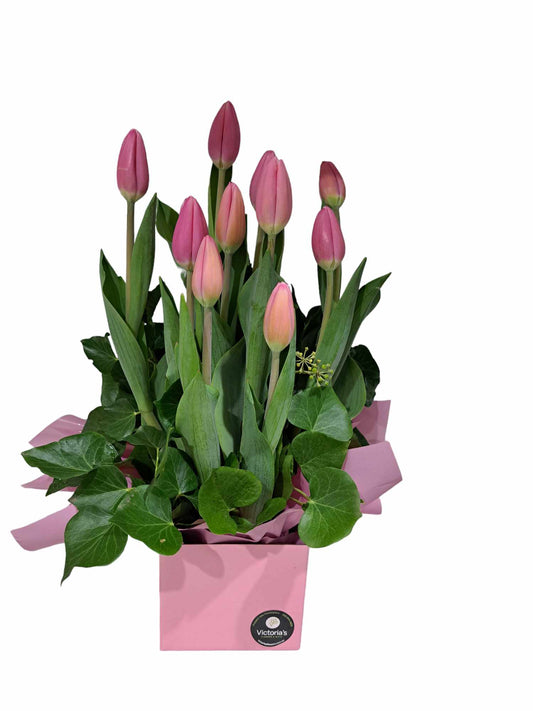Tulip Box