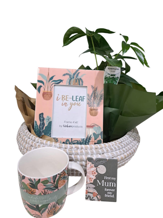 Mother's Love Gift Pack