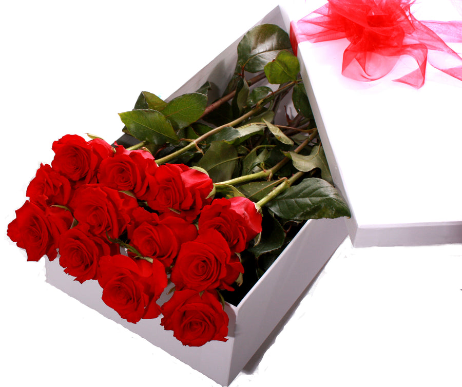 Valentine's Day