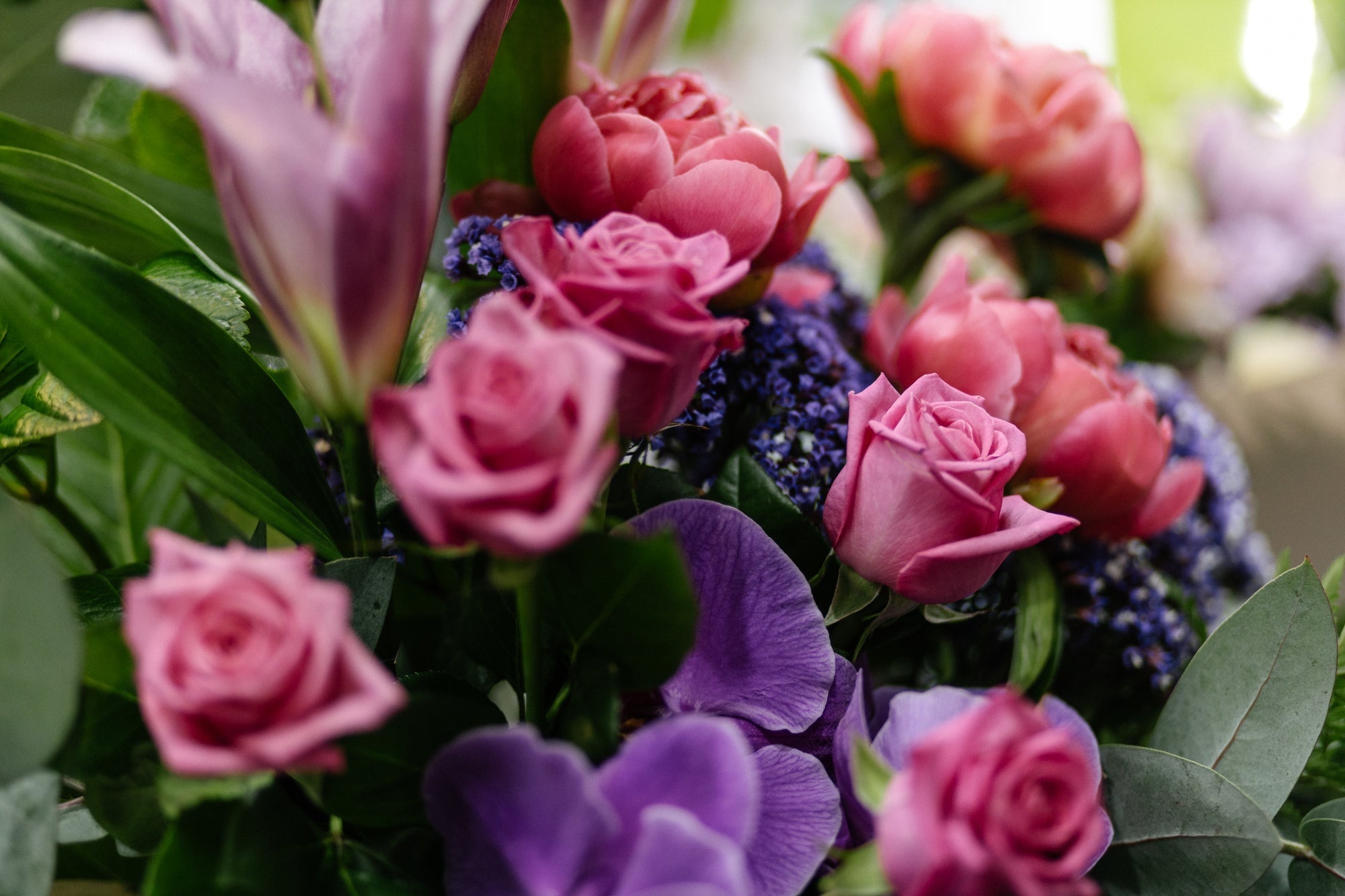 Launceston Florist Flowers and hampers delivered Tasmania wide