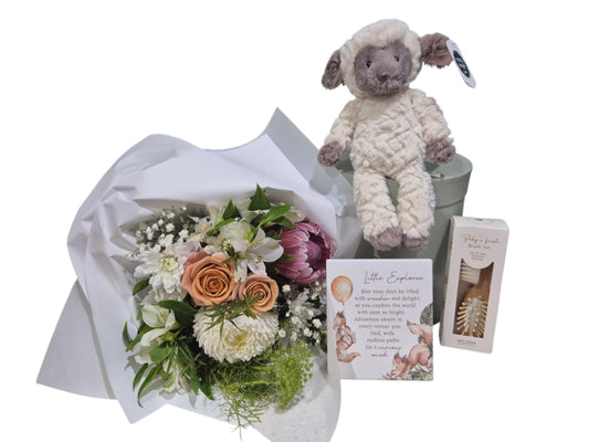 Baby Hamper with Posy