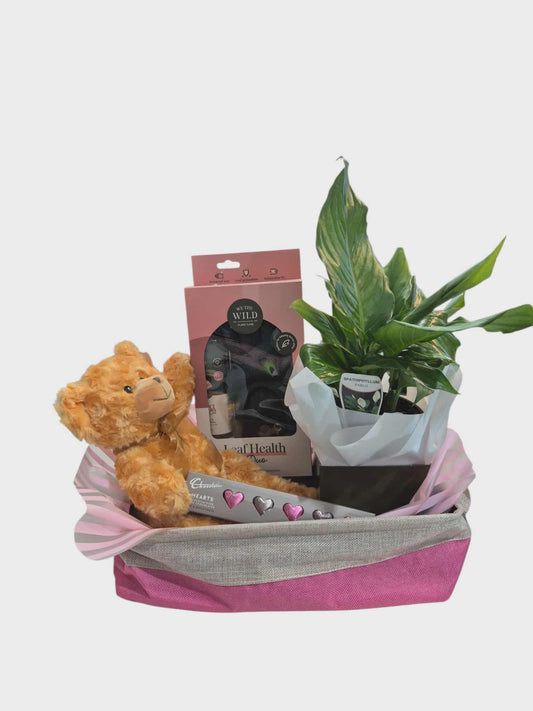Plant Lover Hamper